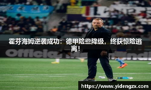 霍芬海姆逆袭成功：德甲险些降级，终获惊险逃离！