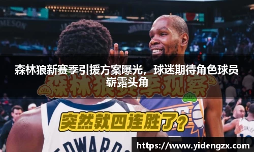 森林狼新赛季引援方案曝光，球迷期待角色球员崭露头角